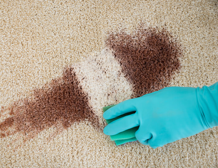 rugs cleaning tips at home