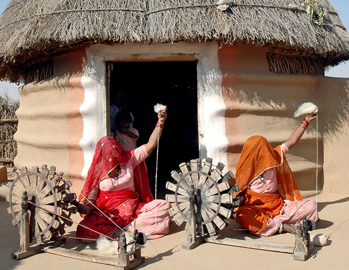 Harvesting Wool in Bikaner: Crafting Perfection from the Source