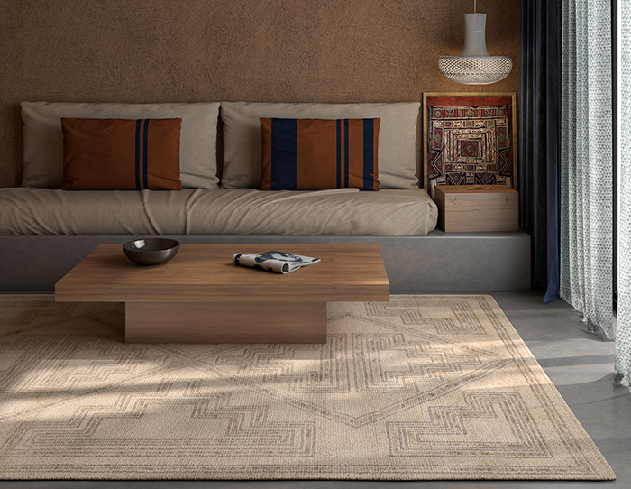 Versatile Area Rugs for Seamless Transitions