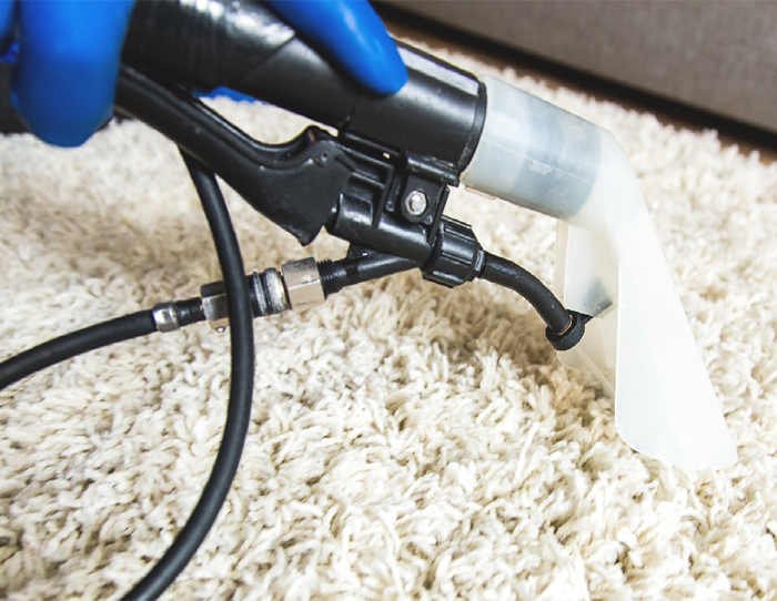 professional carpet cleaning tips