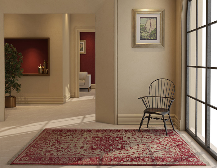 aesthetic essential of carpet at home