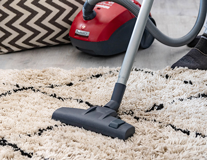 how to get rid of carpet beetle larvae