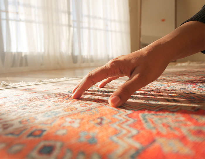 tips to remove carpet beetle