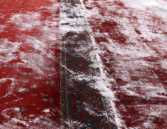 baking soda on carpet