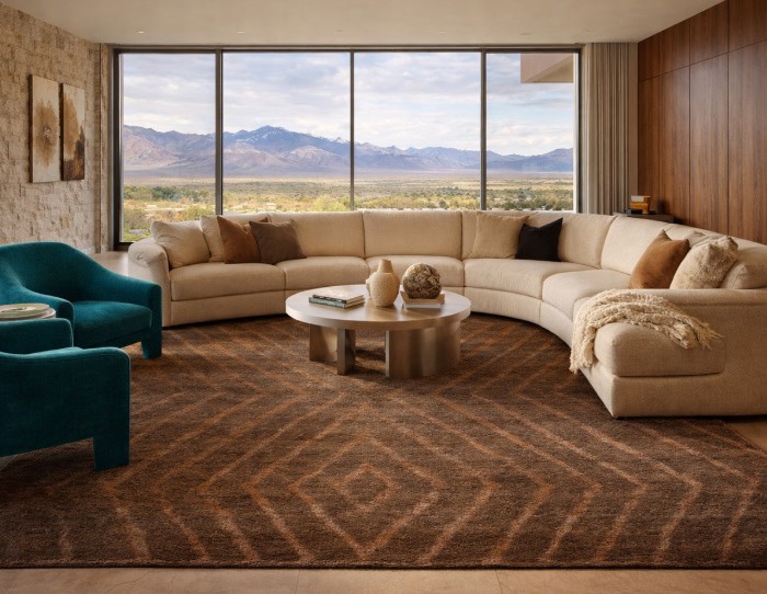 best_rugs_for_minimalist_homes
