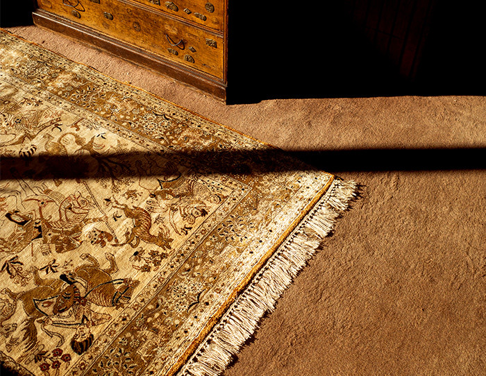 rugs and carpets care