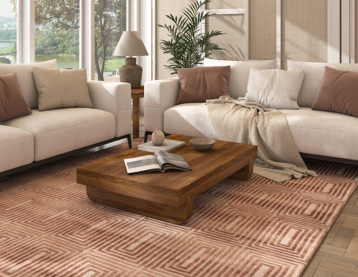 living-room-rugs-and-carpets