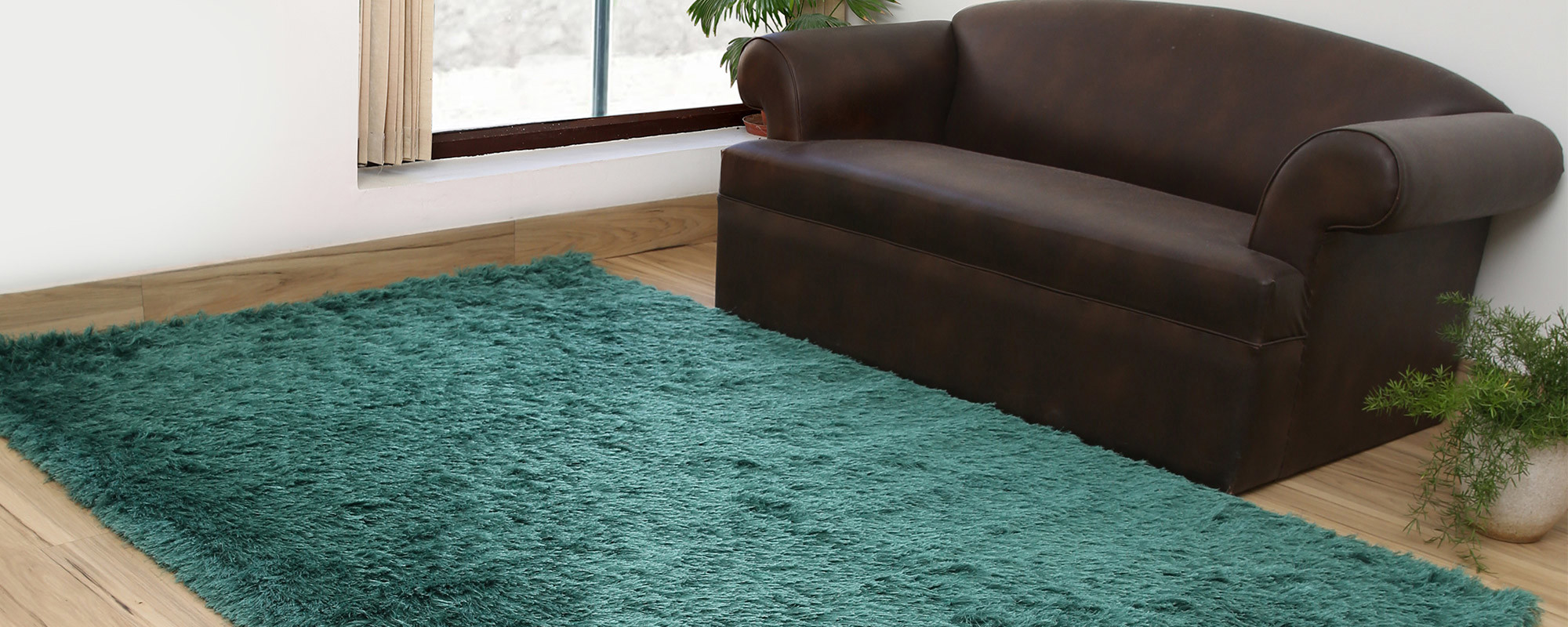 Comment Nettoyer un Tapis à Poils Longs : Le Guide Ultime d'Entretien