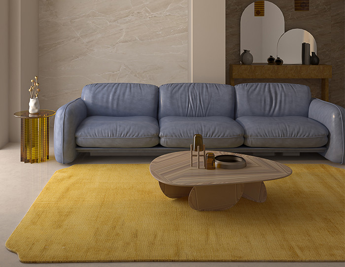 couch_and_area_rug
