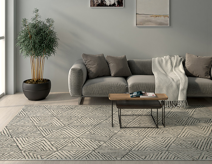 what_colour_rug_with_beige_sofa