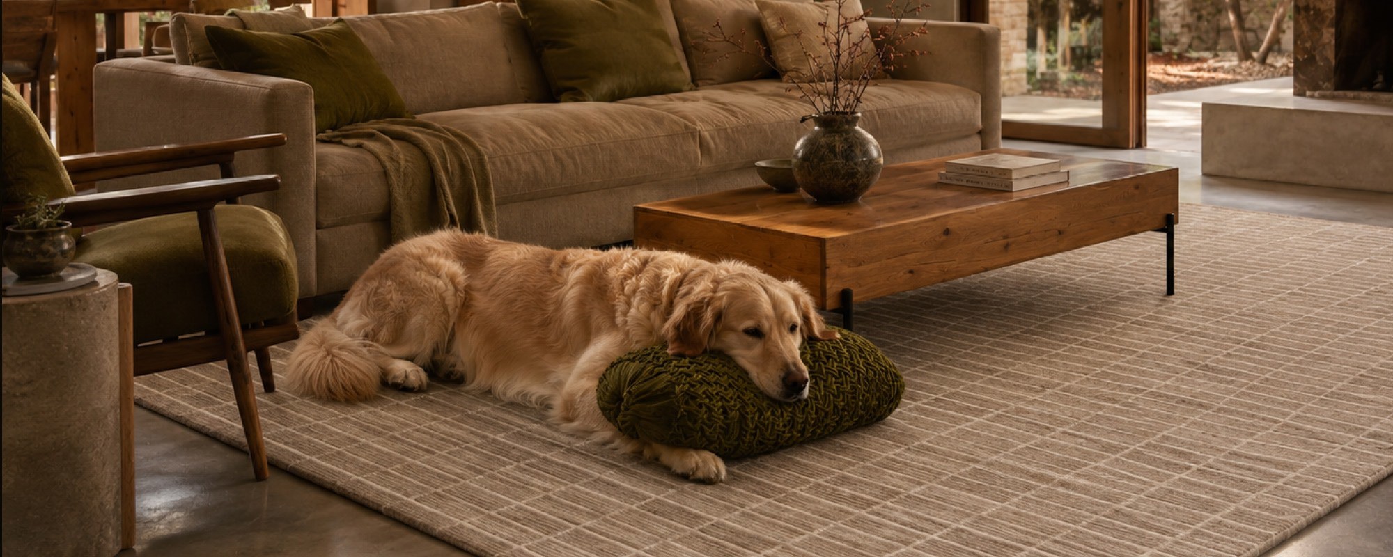 Best Pet Friendly Rugs: Avoid These Costly Buying Mistakes