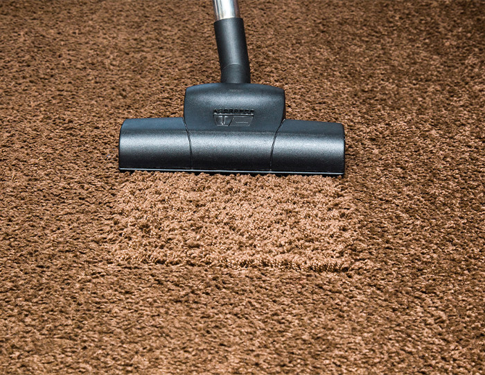 rug cleaning and maintenance tips