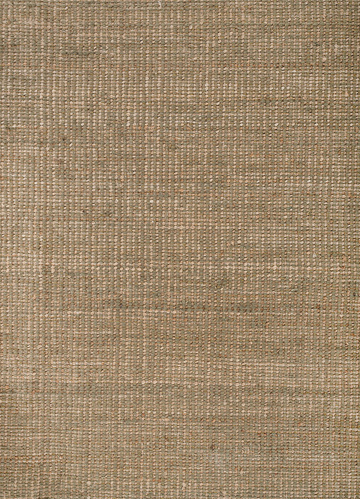 abrash green wool flat weaves Rug - CloseUp