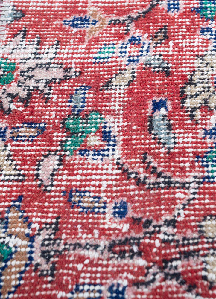 provenance multi wool hand knotted Rug - CloseUp provenance multi wool hand knotted Rug - CloseUp