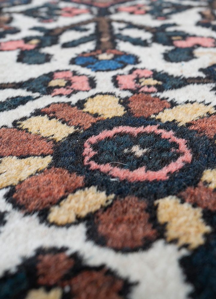 aalam multi wool hand knotted Rug - CloseUp