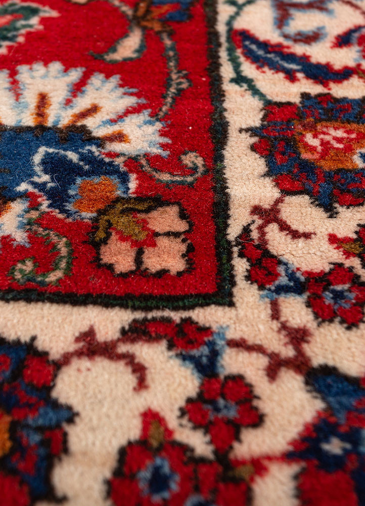 aalam red and orange wool hand knotted Rug - CloseUp