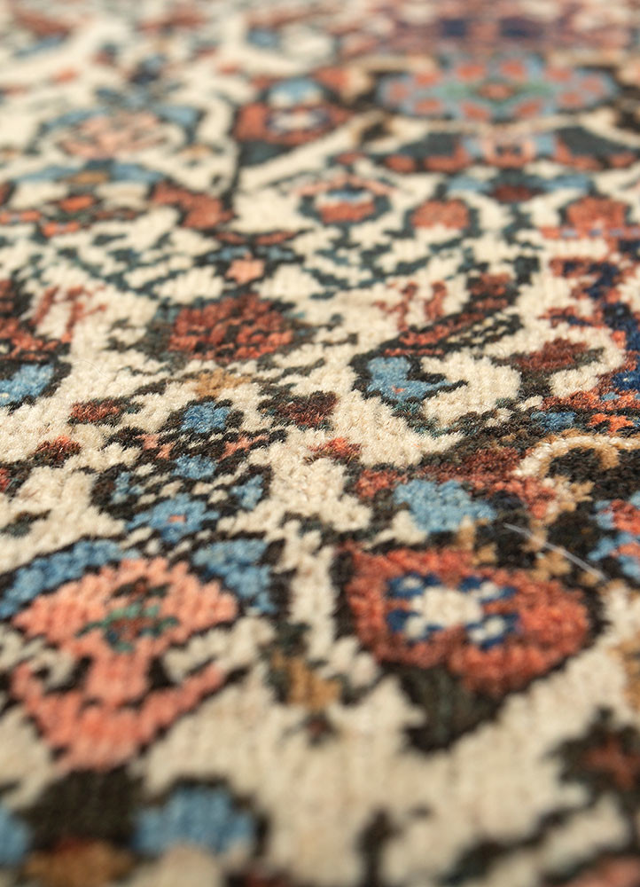 aalam ivory wool hand knotted Rug - CloseUp aalam ivory wool hand knotted Rug - CloseUp