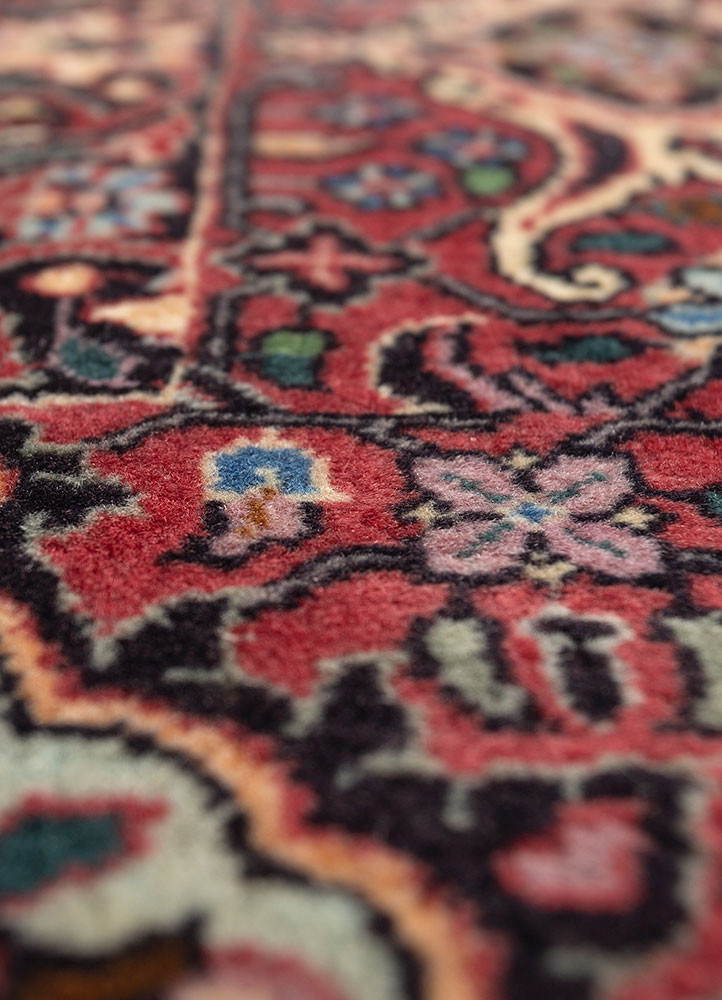 aalam ivory wool hand knotted Rug - CloseUp aalam ivory wool hand knotted Rug - CloseUp