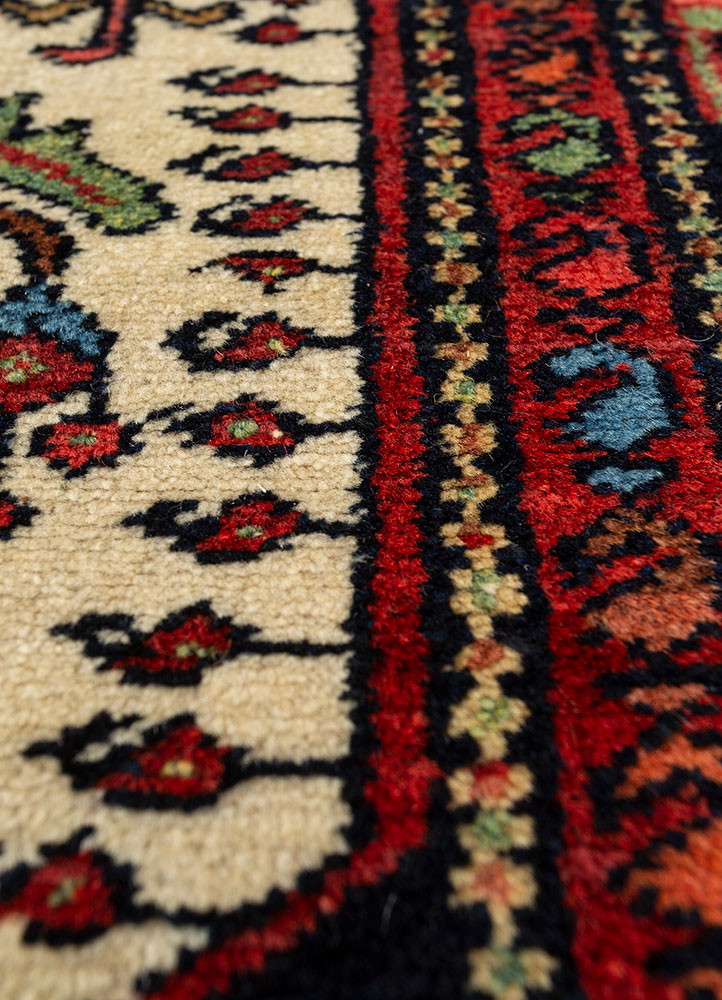 aalam ivory wool hand knotted Rug - CloseUp