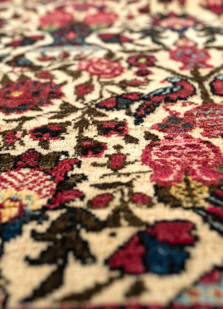 aalam ivory wool hand knotted Rug - CloseUp aalam ivory wool hand knotted Rug - CloseUp