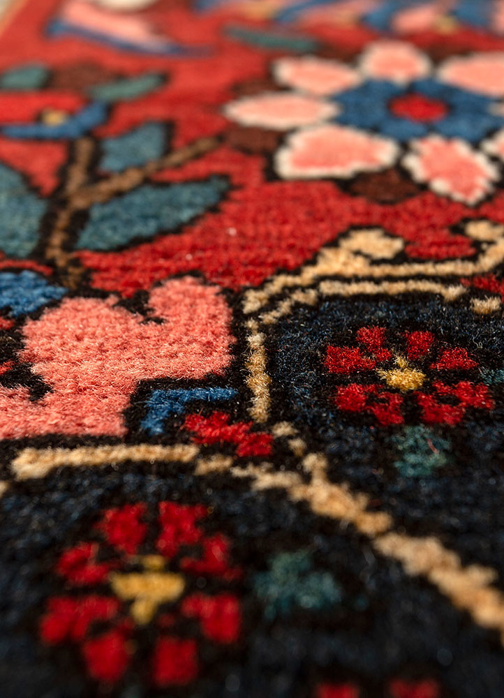 aalam red and orange wool hand knotted Rug - CloseUp