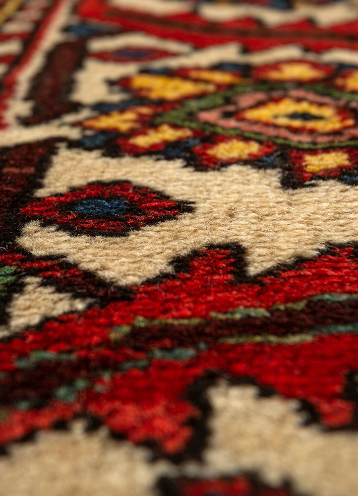 aalam red and orange wool hand knotted Rug - CloseUp aalam red and orange wool hand knotted Rug - CloseUp