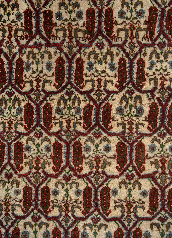 gulnar ivory wool hand knotted Rug - CloseUp gulnar ivory wool hand knotted Rug - CloseUp