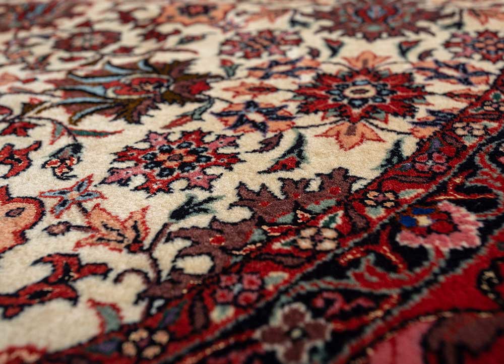aalam ivory wool hand knotted Rug - CloseUp aalam ivory wool hand knotted Rug - CloseUp