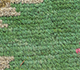 Kleur