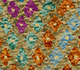 Kleur