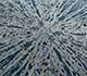 Chaos Theory By Kavi