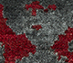 Project Error By Kavi