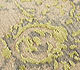 Erbe