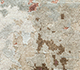 Uvenuti