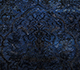 Lacuna