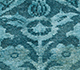 Lacuna