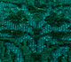 Lacuna