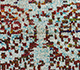 Pattu