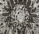 Chaos Theory By Kavi
