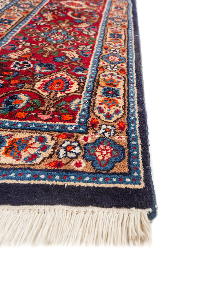 aalam ivory wool hand knotted Rug - Corner