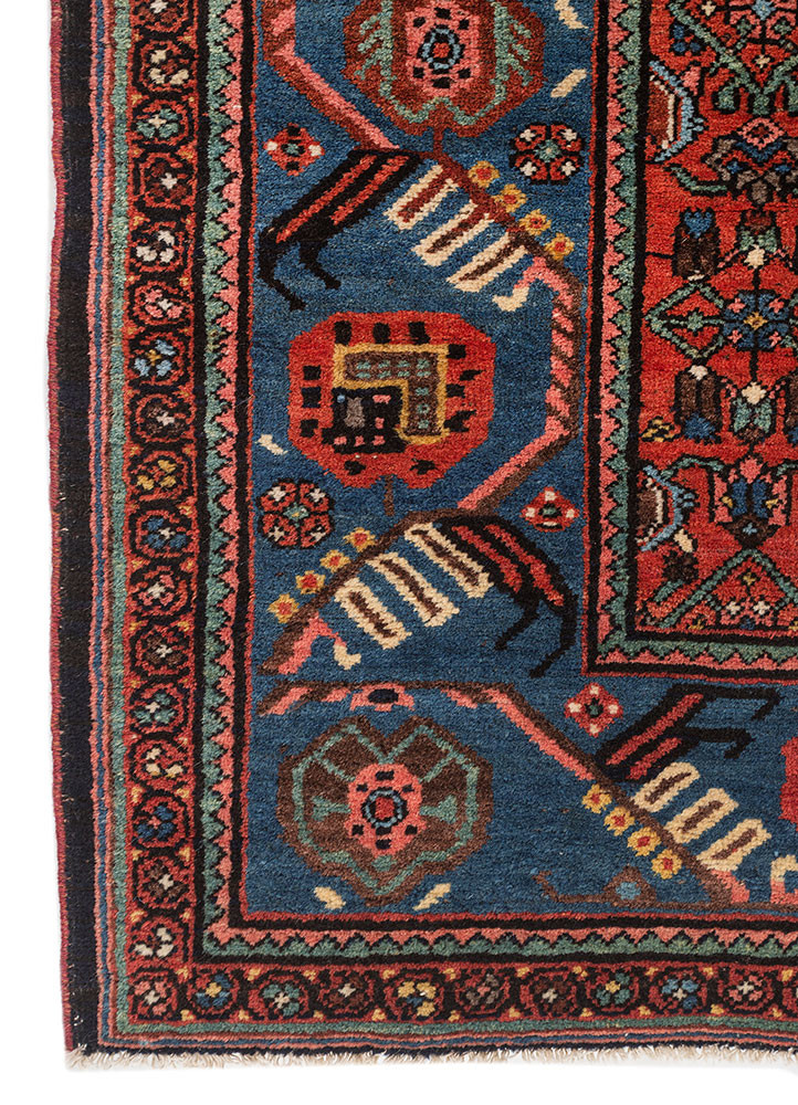 kiaan red and orange wool hand knotted Rug - Corner