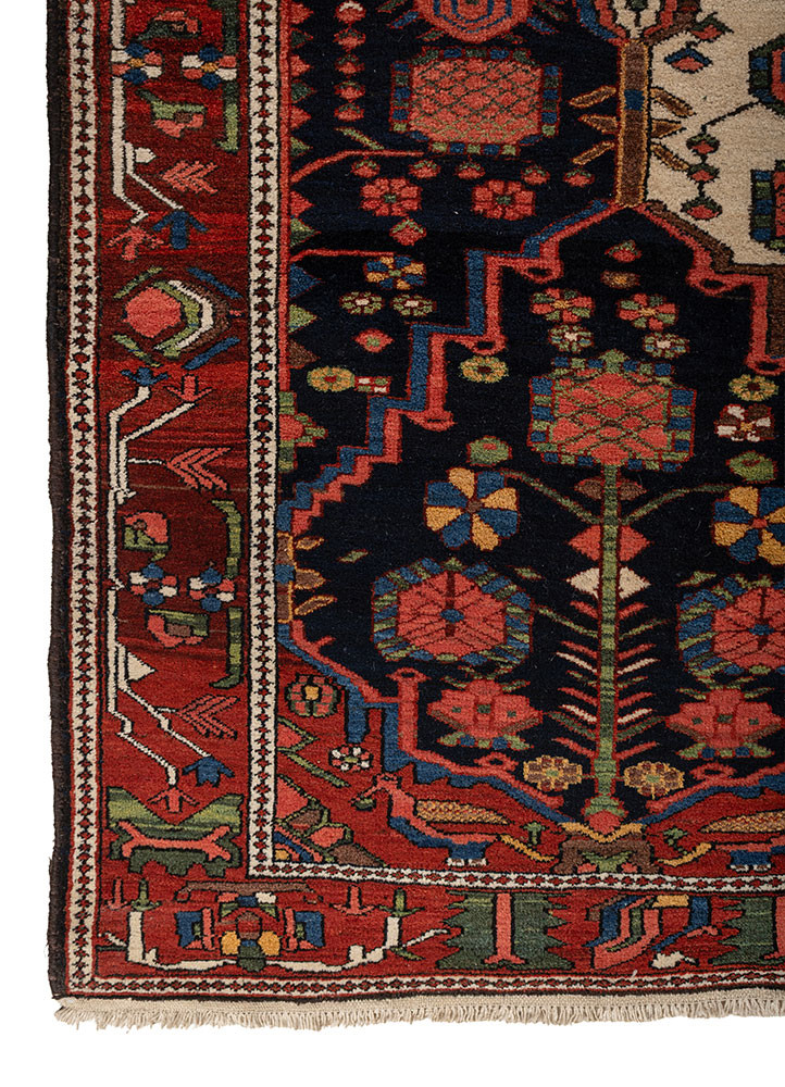 kiaan ivory wool hand knotted Rug - Corner