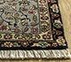 Afghan Mori