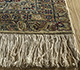 Afghan Mori