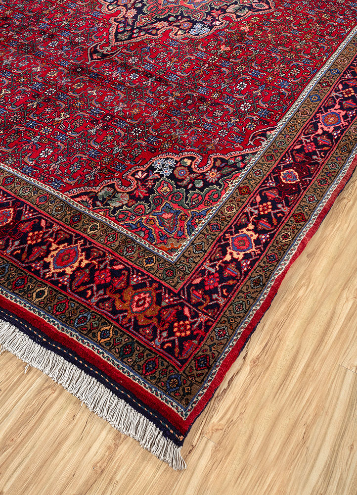 aalam red and orange wool hand knotted Rug - FoldShot