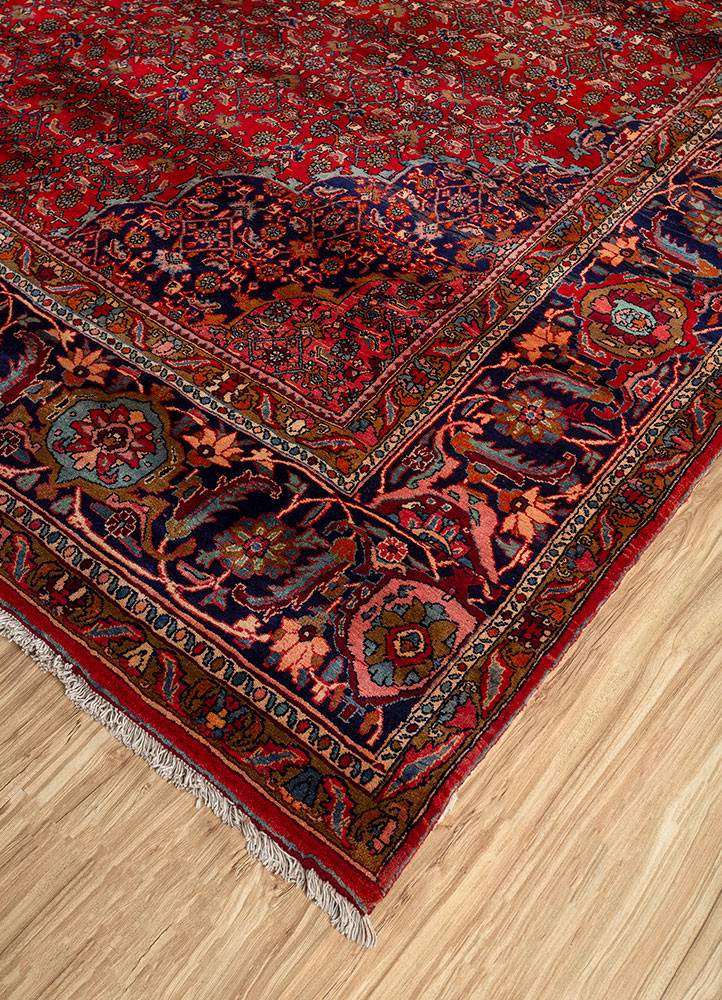 aalam red and orange wool hand knotted Rug - FoldShot aalam red and orange wool hand knotted Rug - FoldShot