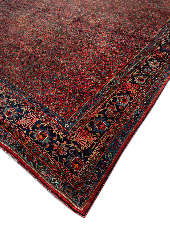 aalam blue wool hand knotted Rug - FoldShot aalam blue wool hand knotted Rug - FoldShot