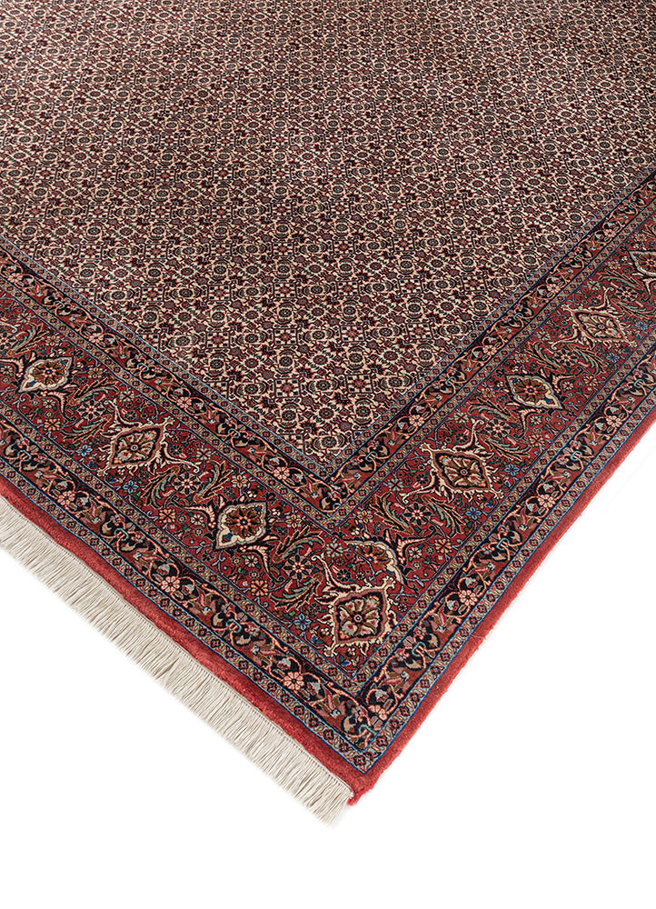 aalam ivory wool hand knotted Rug - FoldShot aalam ivory wool hand knotted Rug - FoldShot