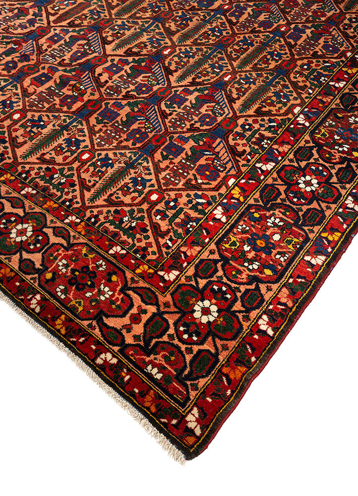 aalam red and orange wool hand knotted Rug - FoldShot