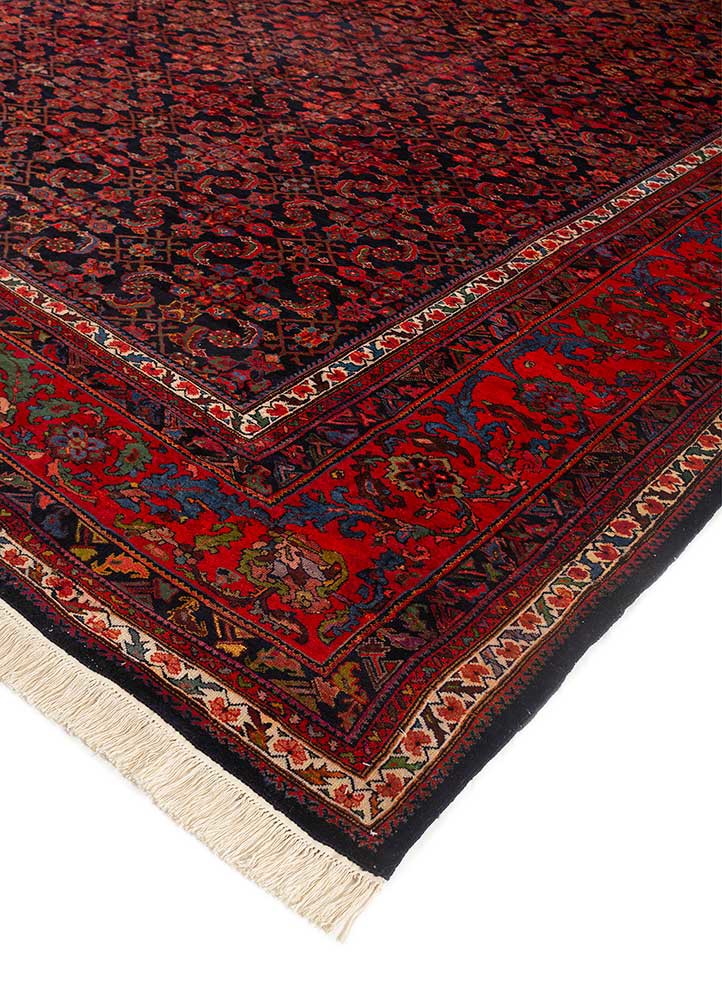 kiaan blue wool hand knotted Rug - FoldShot